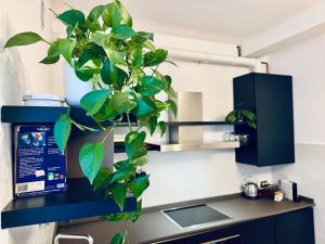 WANDERLUST Splendido appartamento in centro