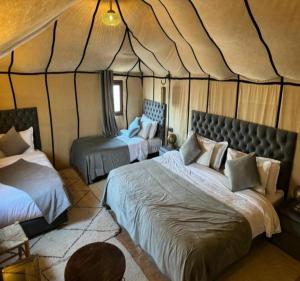 Starvile Luxury Camp