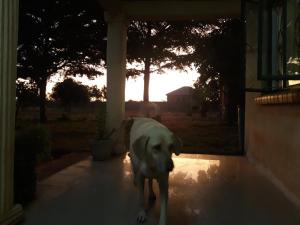 Kalibu Cottage offers you a cozy & private home for your holidays