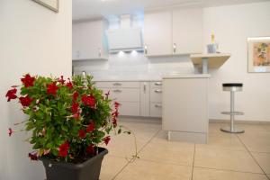 Ferienwohnung Talblick