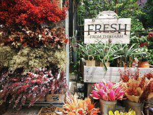 KozyGuru | Lidcombe | Olympic Park Gem + Parking