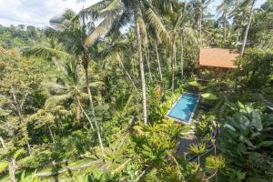 Kawiya Healing Retreat Sanctuary