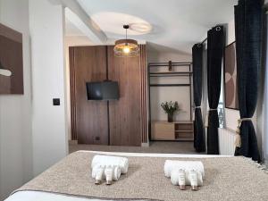 Central Paris - Premium studio for 3