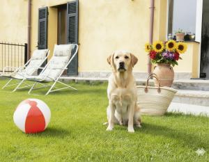 il Giardino di Ambra