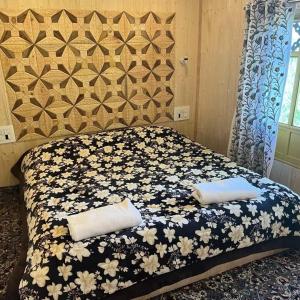 House boat house of common