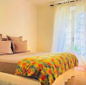 Architect designed house pool tastefully