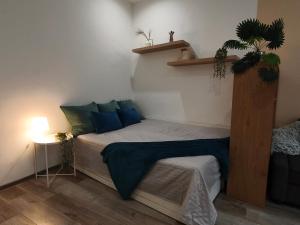 Harmony Apartment w 2 bedroom 2 bathroom in Jewish Quarter