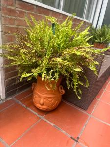 Best Habitaciones Tranquilas para ver luces en Usaquen