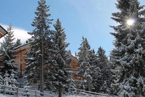 Feriendorf Koralpe Chalet Alpenglück