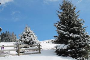 Feriendorf Koralpe Chalet Alpenglück