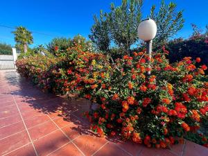 Villetta San Leone con giardino