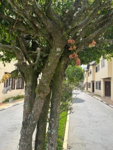 Condomínio Vila das Gaivotas - Casa 10