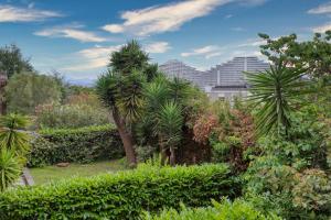 Zen & Cozy Studio et Terrasse