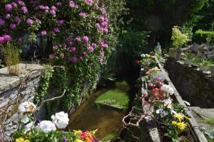 Domaine Du Charme - Meublé T2