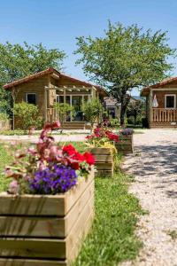 Lodge Natura