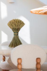 Duplex darchitecte 2 chambres Terrasse Cheminée