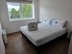 Departamento Jardín Austral