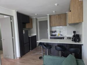 Departamento Jardín Austral