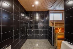 Penthouse Serena Tampere