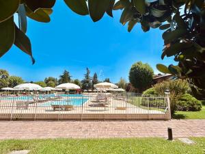 Flora Apartment - Piano terra immerso nel verde in un Residence a 100m dal Lago di Garda con Piscina