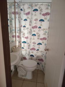 Habitación privada con baño externo de uso exclusivo