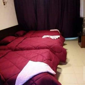 Oasis Hotel Downtown Cairo