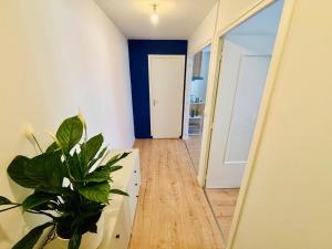 Le rêve bleu - Proche centre-ville - Saint-Etienne