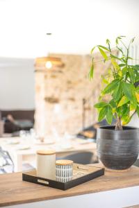 Maison du Château, spacieuse et charmante près du PuyDuFou