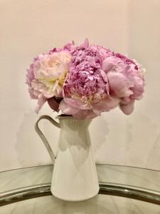 Joli 2 pièces Jussieu Paris 5