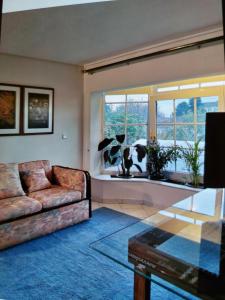 Spring Harmony Trikala Pigi