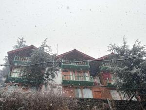 Wooden Cottage jibhi