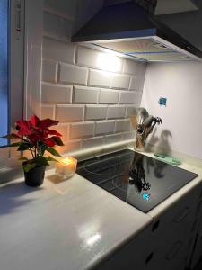 Modern Centric Apartment