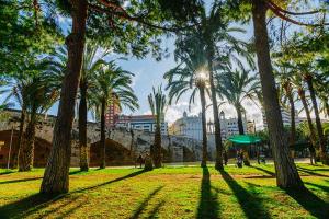 Modern Centric Apartment