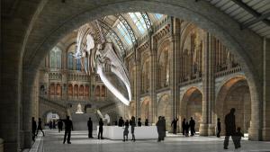 Hidden Gem in Kensington