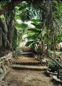 Sierra Tayrona hostel