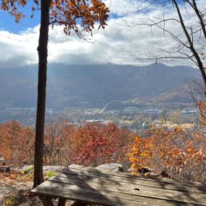 Japandi - Scandinavian Retreat, Mountain View, and 20 Minutes to Asheville