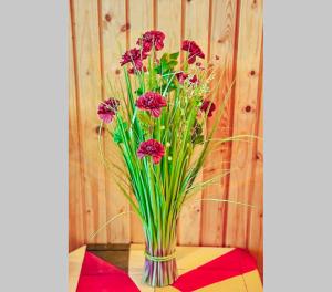 Appartement Edelweiss Haus Bellevue Haus D