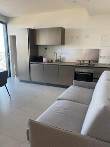 Mercury tower Elena K 24th panoramic view apartment