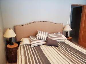 Kirkwood On Meadow 3br 1 ba