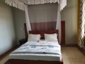 Yvg home of kindness