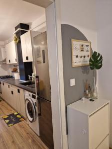 Apartament central Sala Polivalenta Ciuperca