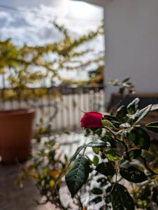 Terraço 26 - 8BR Villa Sleeps 22, Garden & Terrace, Near Lisbon & Beaches