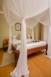 Amani Safari Lodge and Restaurant