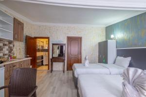 Istanbul Oldcity Apart