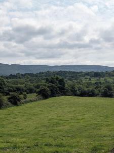 Tranquil Off-Grid Cabin