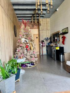 Treeloft Home