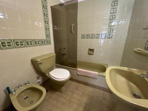 Downtown Apartment Maipu