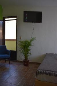 Estancia Alixel Oaxaca