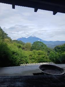 Bosco Antigua - Cabins and Spa in the Woods