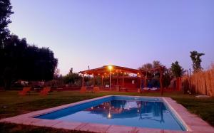 Cactus del Talampaya 2